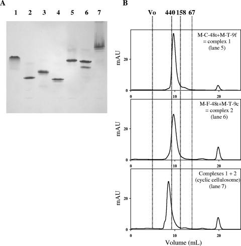 FIG. 6.