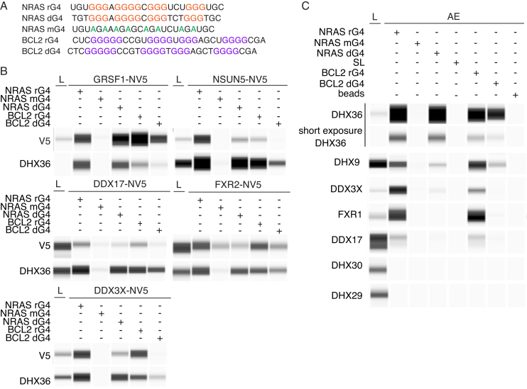 Figure 4.