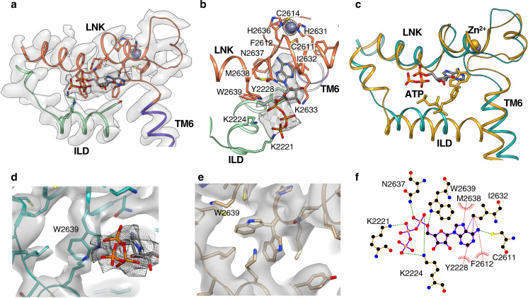 Fig. 4