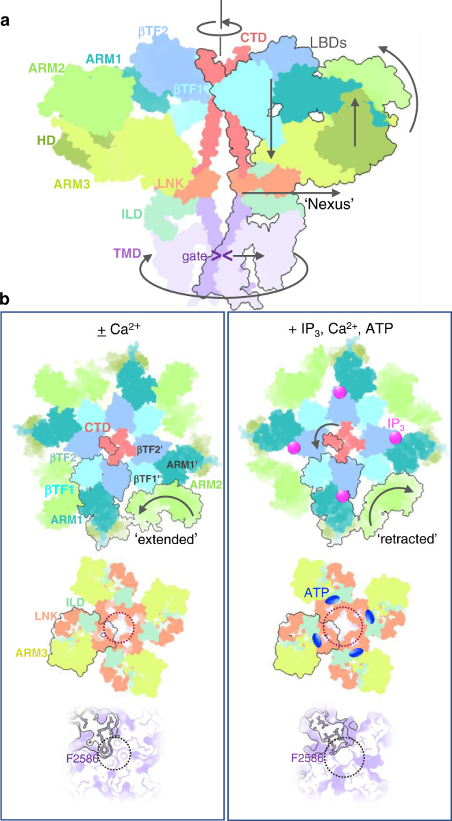 Fig. 7