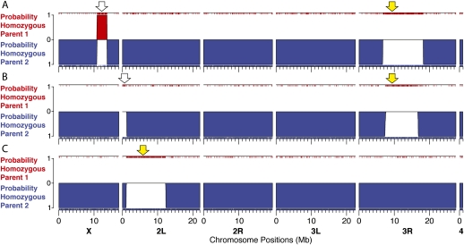 Figure 5.