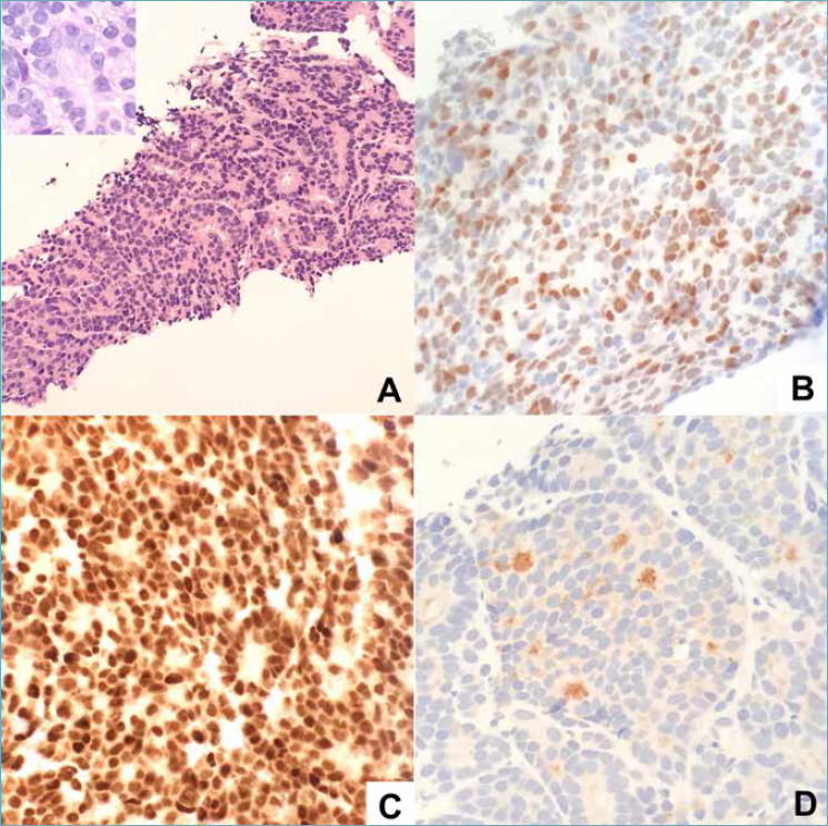 Fig. 1.ABCD