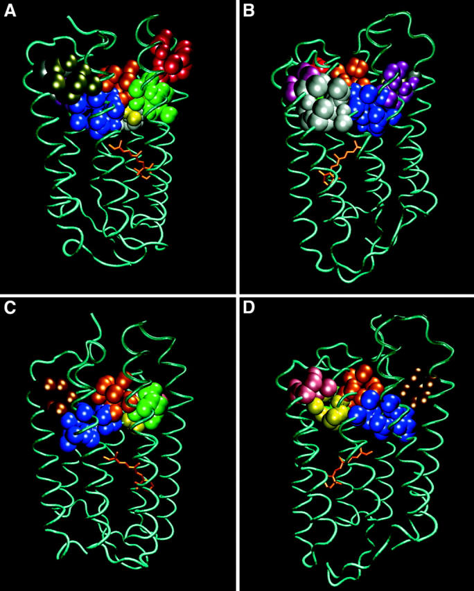 FIGURE 3