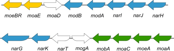 Fig 10