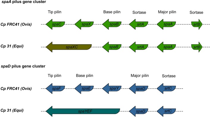 Fig 11