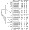 Fig 8