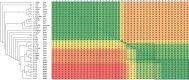 Fig 9