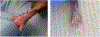 Fig. 2 –