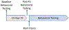 Fig. 1 –