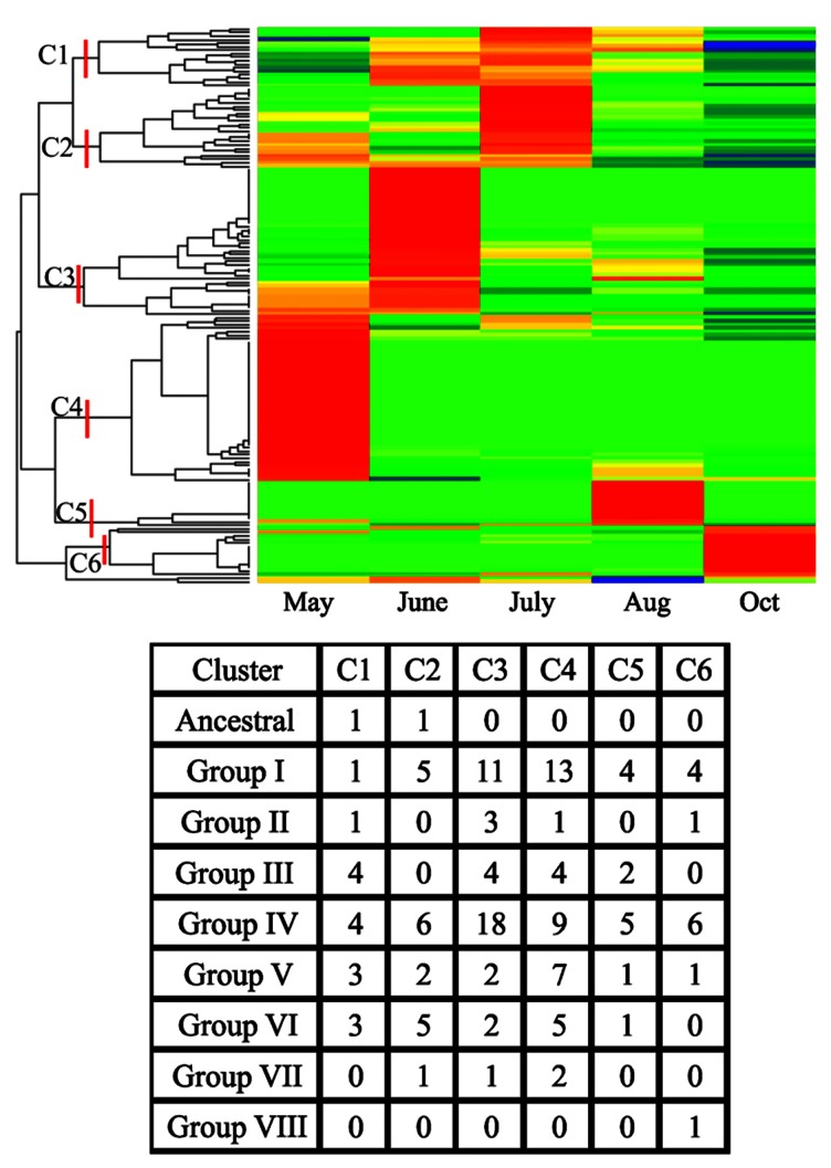 FIGURE 4