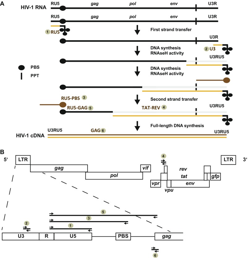 Fig. S4.