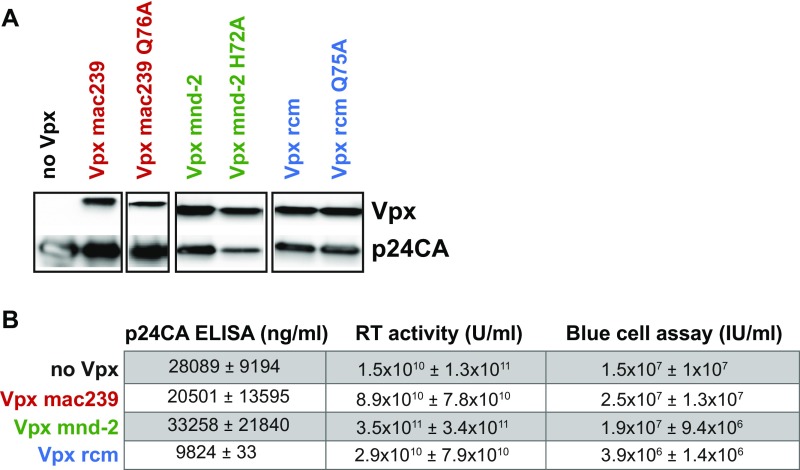 Fig. S1.