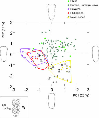 Fig. 3.