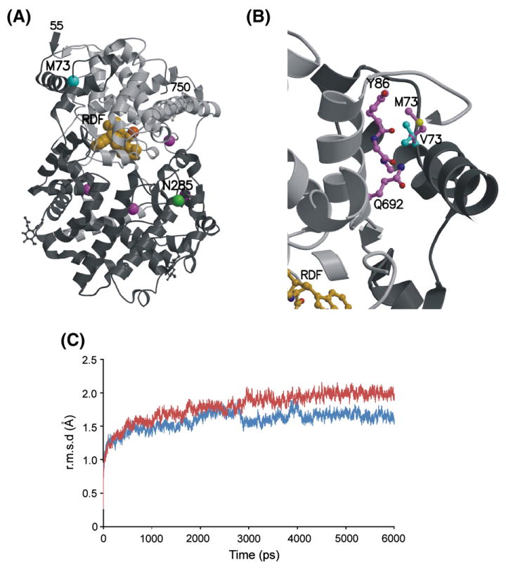 Fig. 6