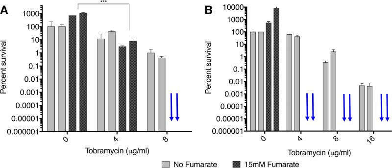 FIG 6