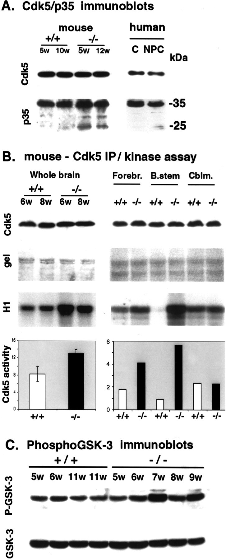 Fig. 5.