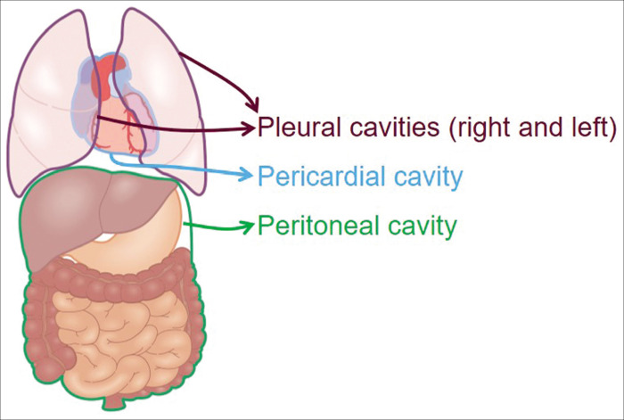 Figure 1: