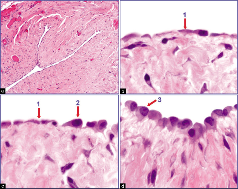 Figure 2: