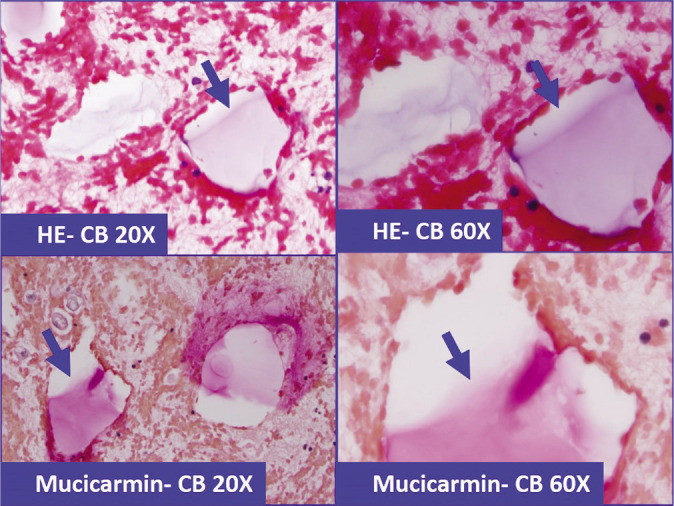 Figure 20: