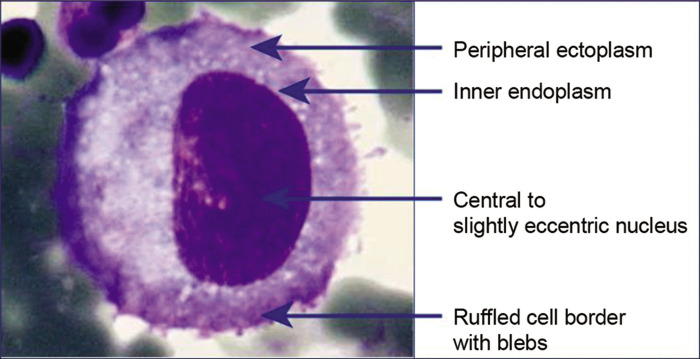 Figure 4: