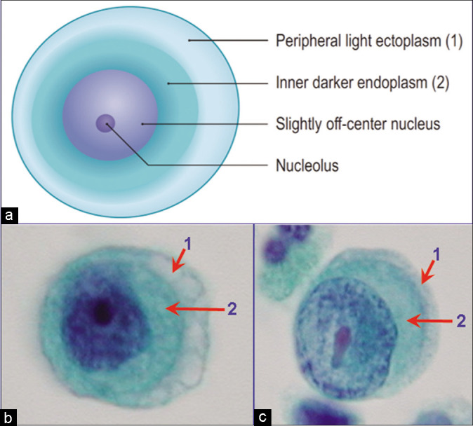 Figure 3: