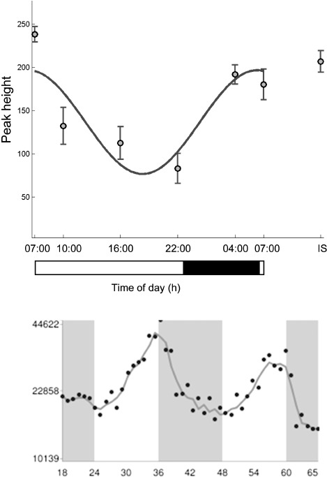 FIGURE 4