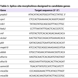 graphic file with name DMM011726T3.jpg