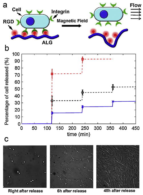 Fig. 13