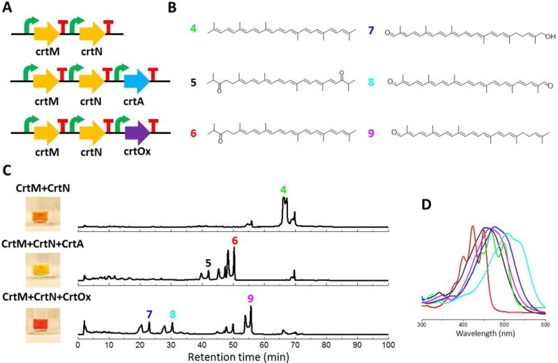 Figure 4