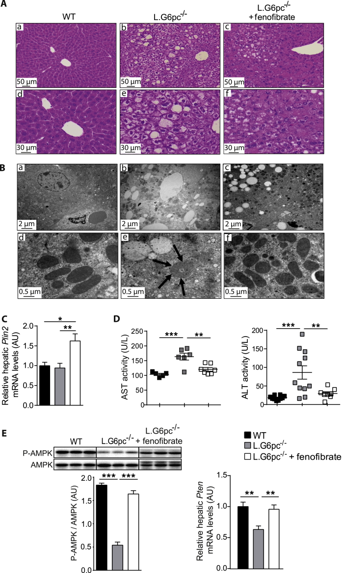 Figure 6