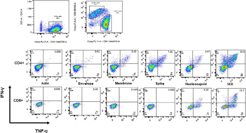 Figure 3