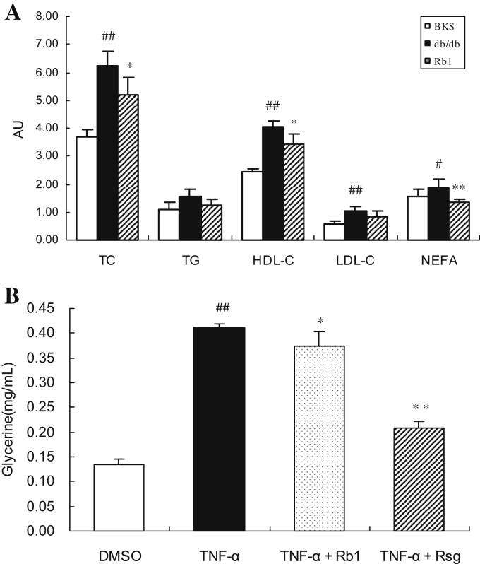 Fig. 2