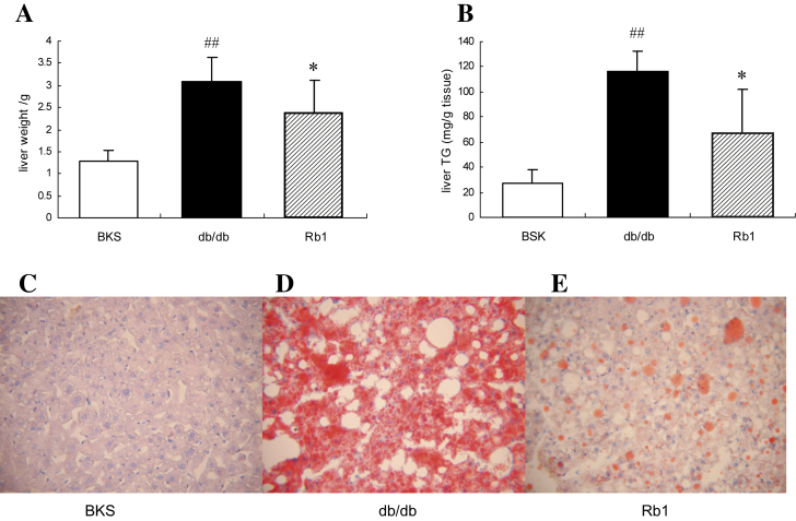 Fig. 1