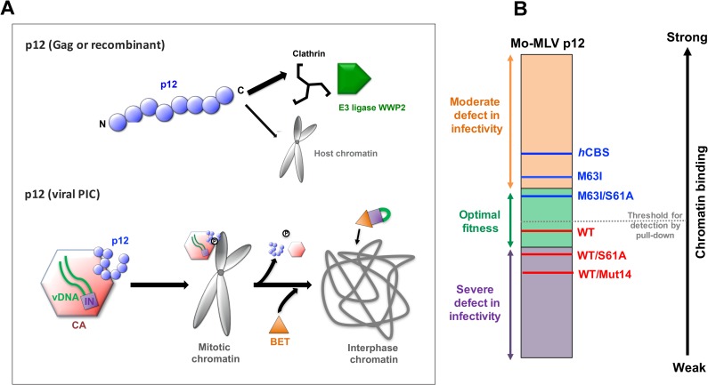 Fig 10