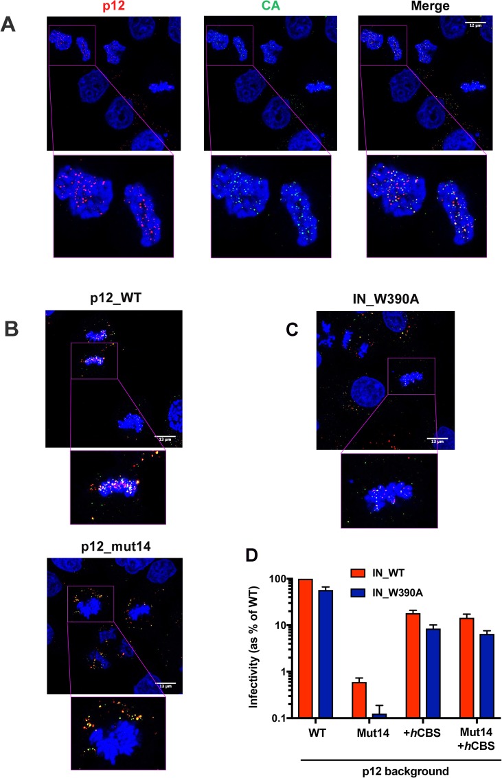 Fig 2