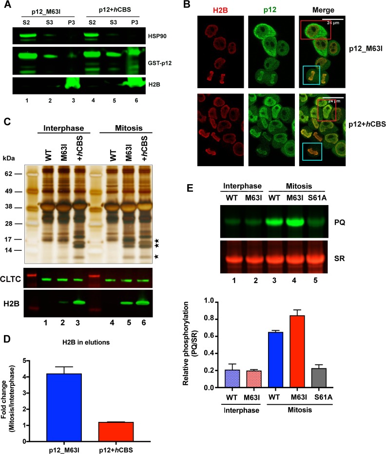 Fig 6