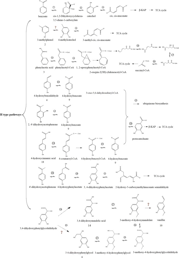 Fig. 7