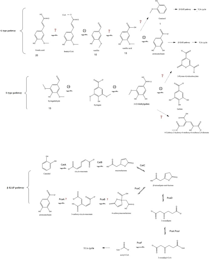 Fig. 8