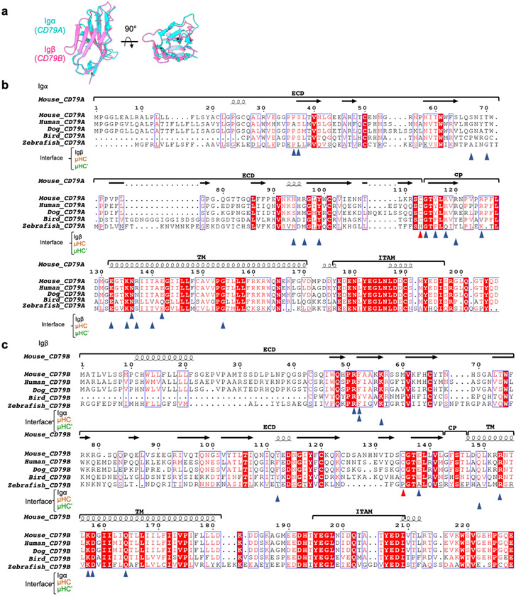 Extended Data Fig. 6 ∣