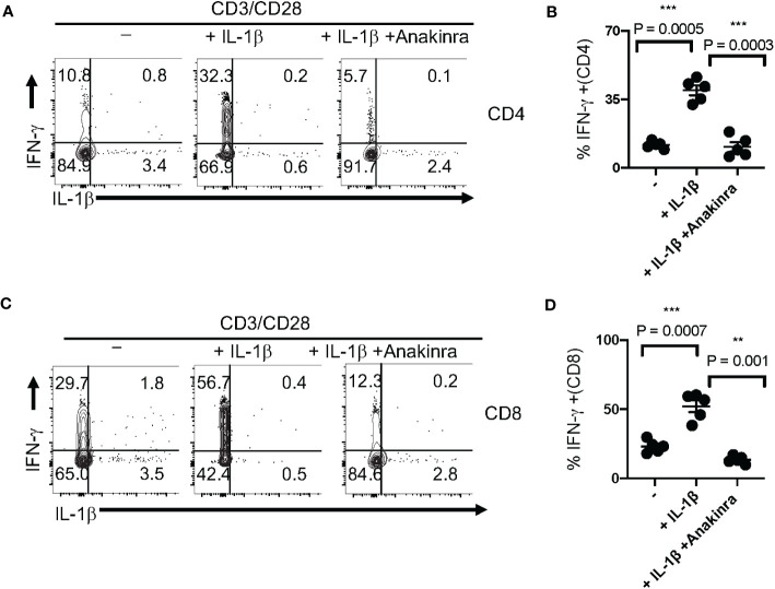 Figure 6