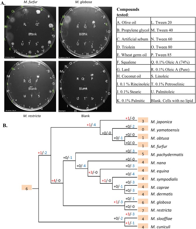 Fig 5