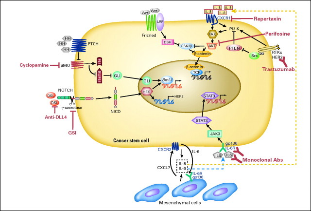 Fig 1.