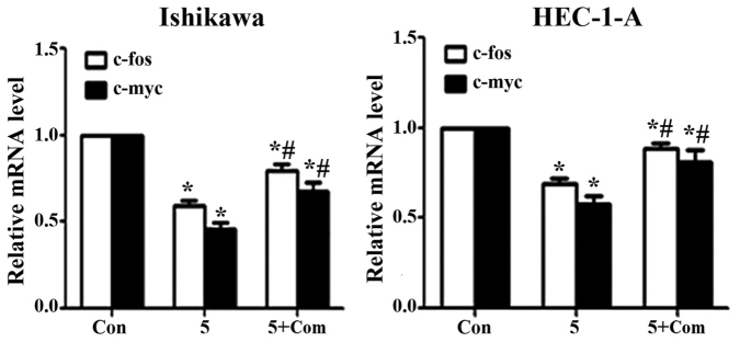 Figure 5.