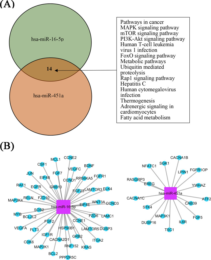 FIG 3