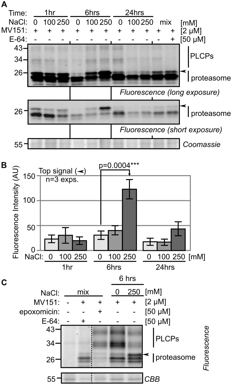 FIGURE 3