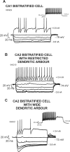 Figure 6.