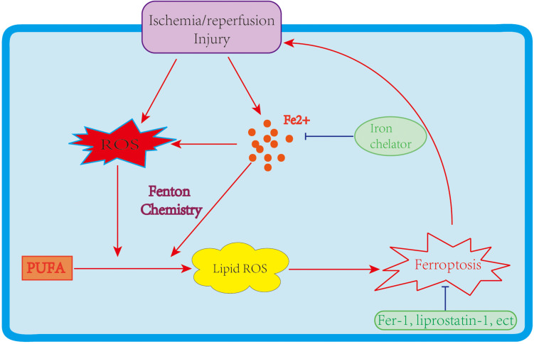 FIGURE 2