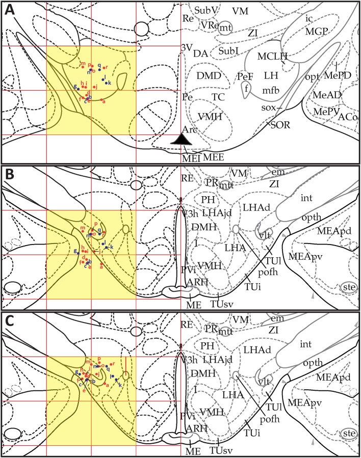 Figure 10