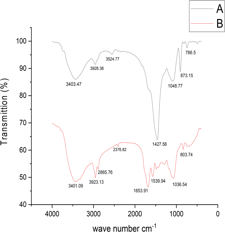 Figure 7