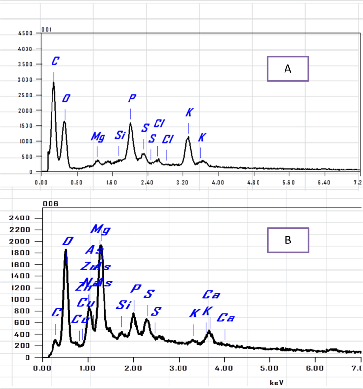 Figure 10